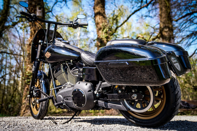 Обои картинки фото харлей, мотоциклы, harley-davidson, мотоцикл, байк, thunderbike, customs