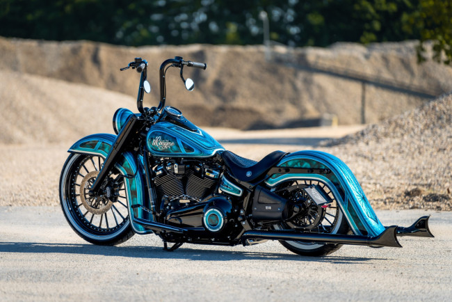 Обои картинки фото харлей, мотоциклы, harley-davidson, мотоцикл, байк, el, consejero, thunderbike, customs