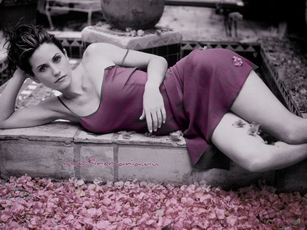 Обои картинки фото Courteney Cox, кортни, кокс, девушки