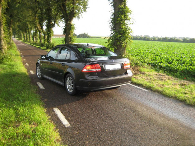 Обои картинки фото автомобили, saab