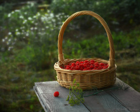 Картинка авт elen еда клубника земляника