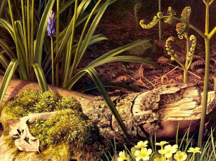 Картинка рисованные природа