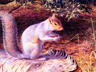 обоя рисованные, животные, белки