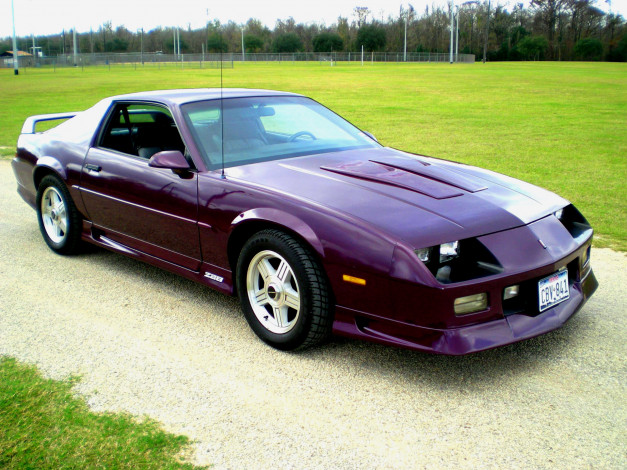 Обои картинки фото автомобили, camaro