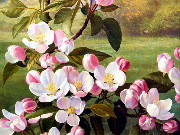 Обои картинки фото рисованные, цветы