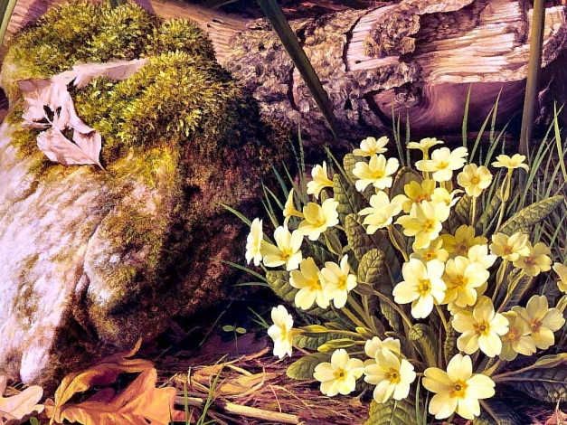 Обои картинки фото рисованные, цветы