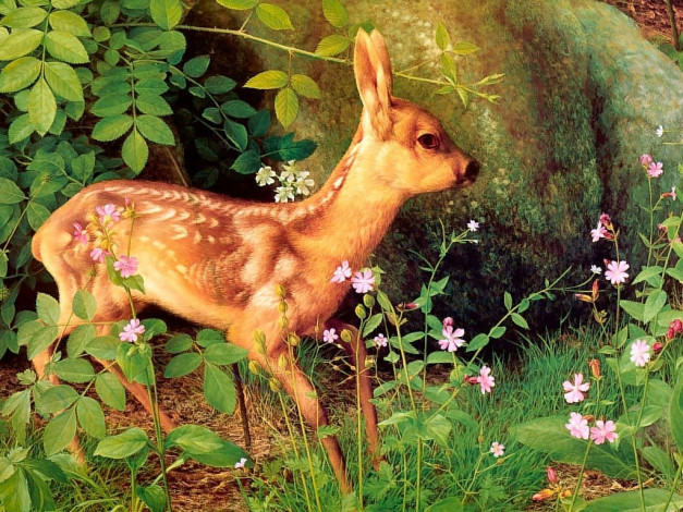 Обои картинки фото рисованные, животные, олени