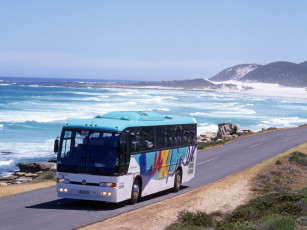 Картинка автомобили автобусы