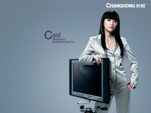 Картинка бренды changhong