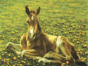 Картинка рисованные животные