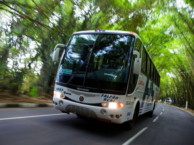 Обои картинки фото автомобили, автобусы