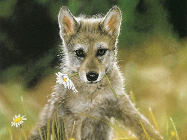 Обои картинки фото рисованные, животные