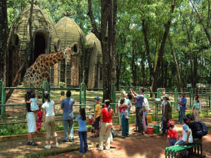 Картинка разное люди