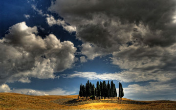 Картинка природа деревья