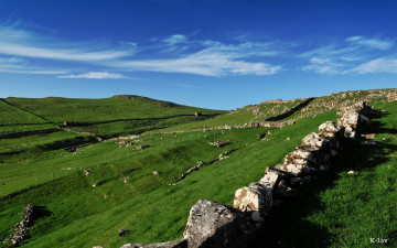 Картинка природа луга