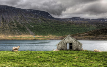 Картинка природа пейзажи