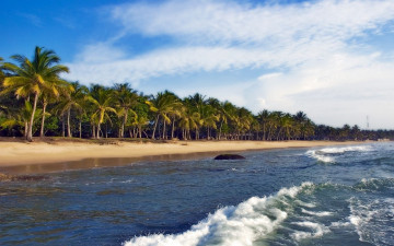 Картинка природа тропики