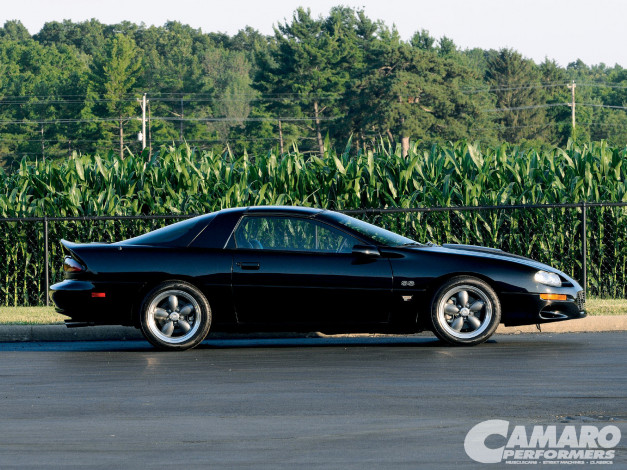 Обои картинки фото автомобили, camaro