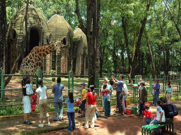 Обои картинки фото разное, люди