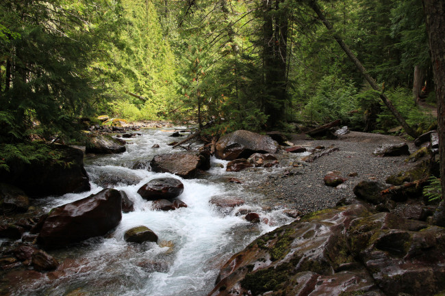 Обои картинки фото природа, реки, озера, камни, вода, лев, река