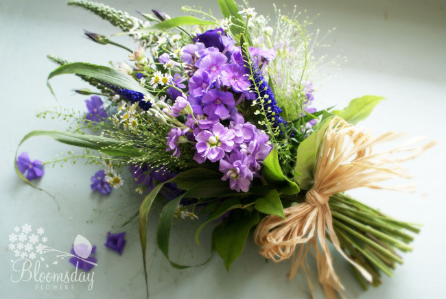 Обои картинки фото цветы, букеты, композиции, ромашки, флоксы, левкой, бант