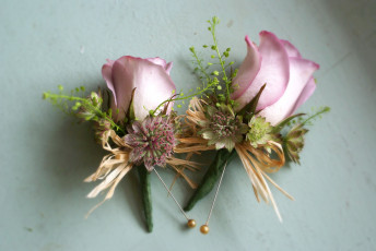 Картинка цветы розы