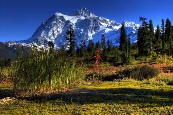 Картинка сша вашингтон природа горы облака лес