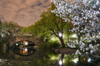 Картинка города нью йорк сша центральный парк нью-йорк