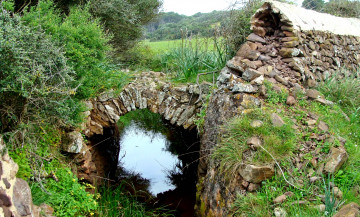 Картинка природа реки озера лес опушка ручей арка трава