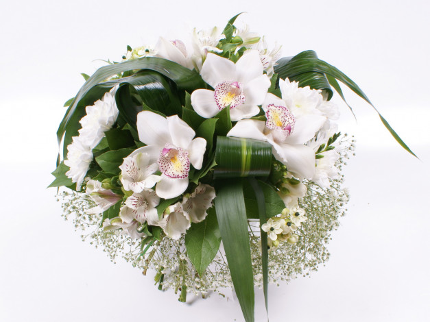 Обои картинки фото цветы, букеты, композиции, орхидеи, букет