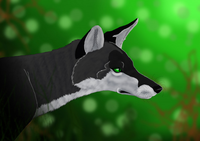 Обои картинки фото рисованные, животные,  собаки, собака