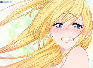 Картинка аниме nisekoi девушка