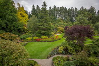 Картинка природа парк деревья дорожка