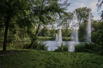 Картинка природа парк река лес