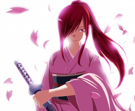 Обои картинки фото аниме, fairy tail, хвост, феи, fairy, tail