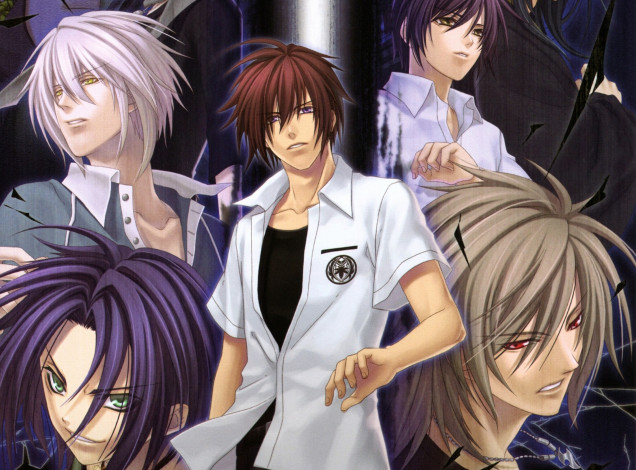 Обои картинки фото аниме, hiiro no kakera, парни