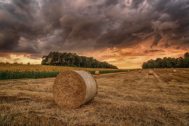 Обои картинки фото природа, поля, простор