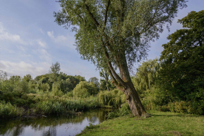 Обои картинки фото природа, реки, озера, лес, река