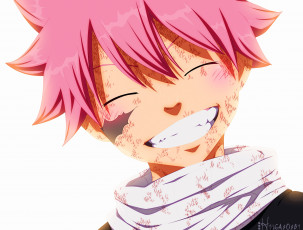 Картинка аниме fairy+tail хвост феи