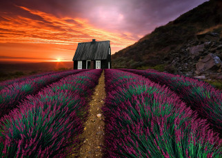 Картинка природа восходы закаты растительность дом горы закат пейзаж