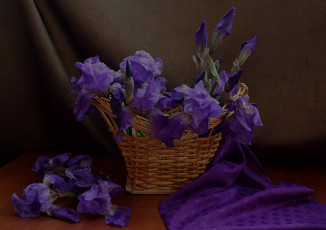 Картинка цветы ирисы корзина лето натюрморт