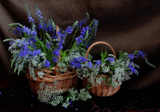 Картинка цветы луговые+ полевые +цветы сныть лето натюрморт корзина вероника длиннолистная