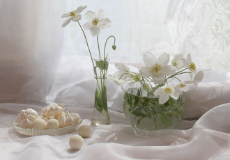 Картинка еда конфеты +шоколад +сладости натюрморт анемоны цветы сладости растения