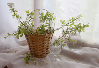 Картинка цветы цветущие+деревья+ +кустарники слива посуда корзина композиция ветки весна