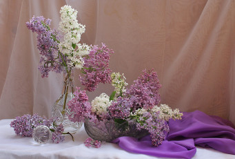 Картинка цветы сирень весна натюрморт