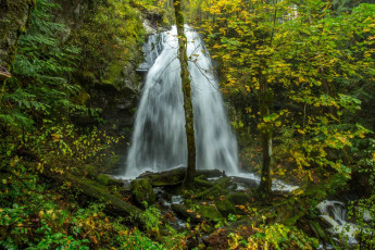 Картинка канада природа водопады деревья растения