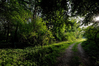 Картинка природа дороги тракт