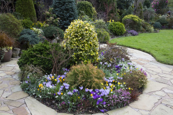 Картинка природа парк цветы кустарники газон