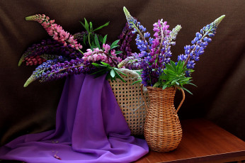 Картинка цветы люпин люпины натюрморт лето