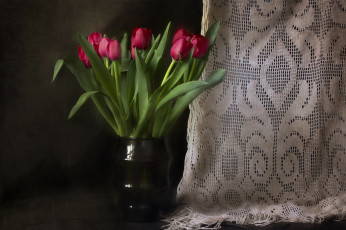 Картинка цветы тюльпаны лепестки много разноцветные цветение